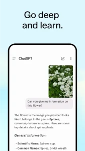 ChatGPT v1.2025.287 MOD APK (Plus, Premium Unlocked) 4